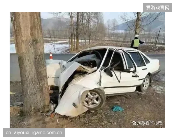 下坡速降选手撞树竟奇迹生还！精彩瞬间引爆弹幕狂潮